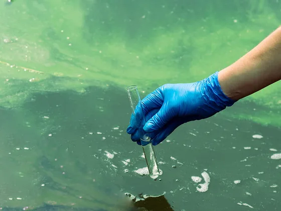 Gloved hand collecting a water sample from contaminated industrial wastewater